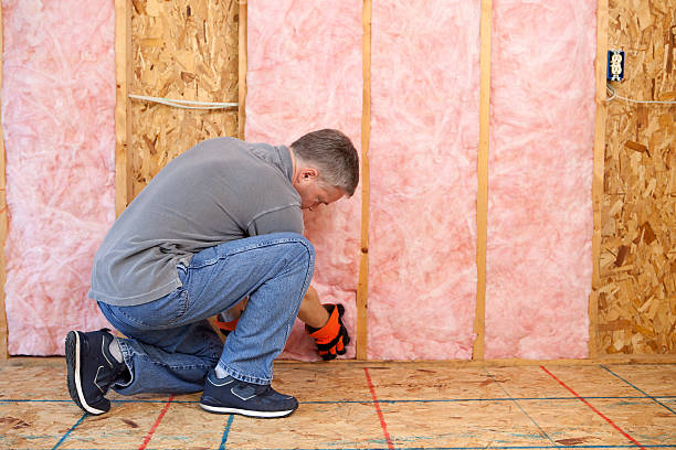 Best Commercial Insulation Services  in Kapn, LA